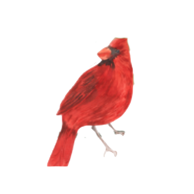 Untitled design (80)_edited.png
